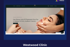 865% Increase In Search Impressions & 2,500+ Keywords Ranked